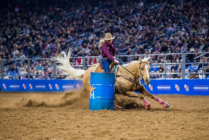 Houston Livestock Show and Rodeo