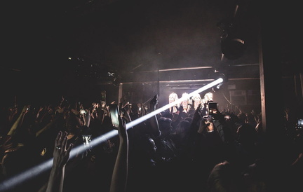 Jungle Delight FOMO