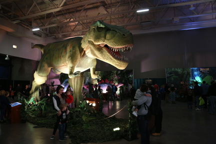 Dinosaur Adventure