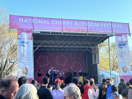 Cherry Blossom Festival