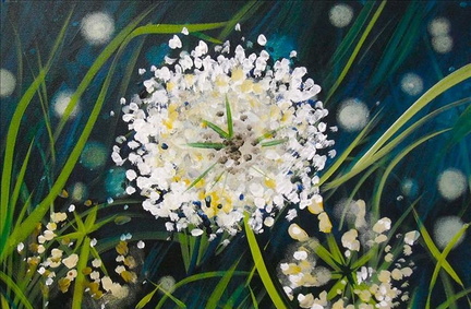 White Wildgrass Flowers.v1