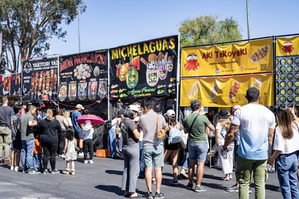 FoodieLand Food Festival