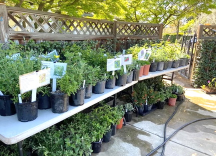 Master Gardeners Spring Plant Sale