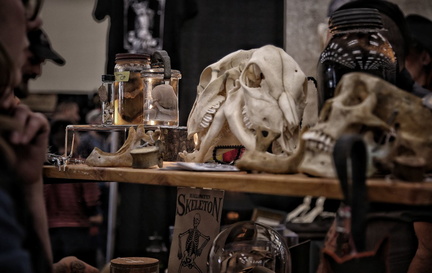 The Oddities &amp; Curiosities Expo