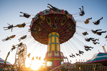 Chandler Chamber Ostrich Festival
