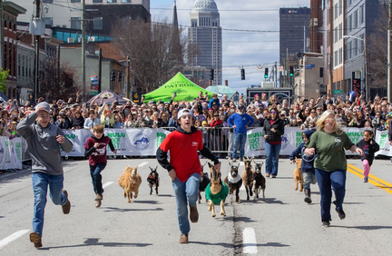 NuLu Bock Fest