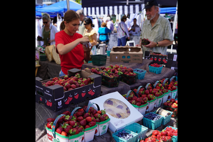 Bronte Farmers’ Market