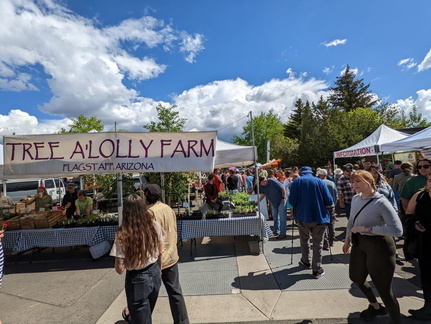 Flagstaff Mountain-Town Market