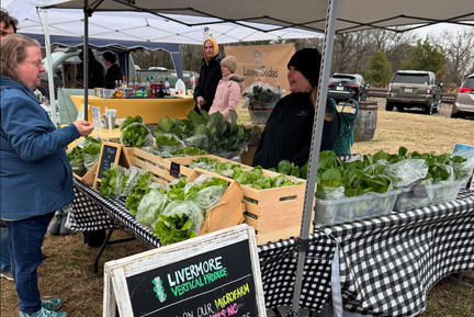 Winter Market