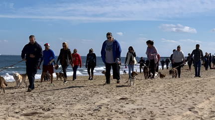 Salty Dog Beach Walk