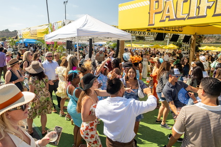 Uncorked Tampa
