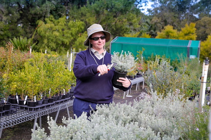 Greenplan Plant Sale