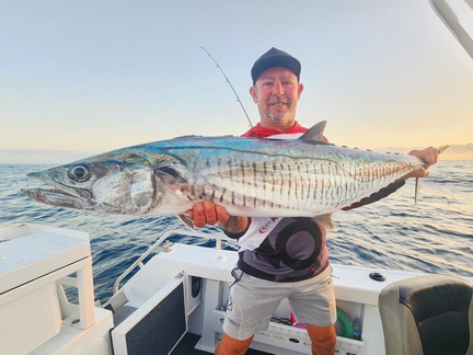 Mackerel Classic