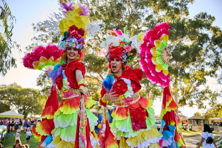 Harmony Festival