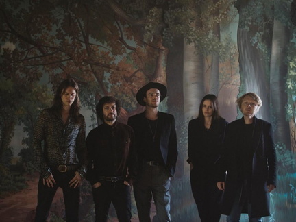 The Veils