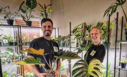 Plant Pop Up Sale