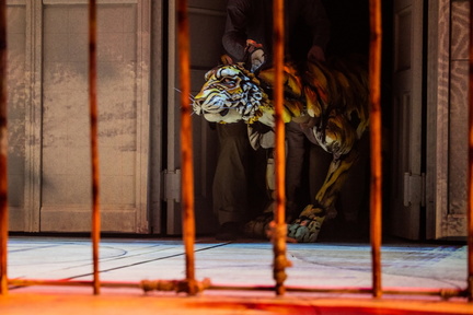 Life of Pi