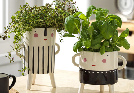 Root and clay create your own pot