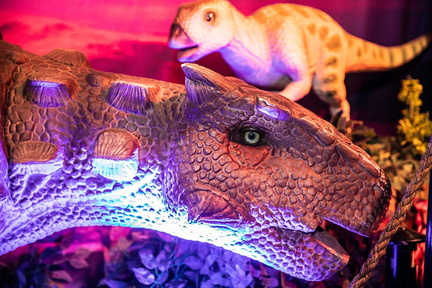 Dino-Safari-BGT