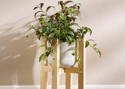 Make a Plant Stand