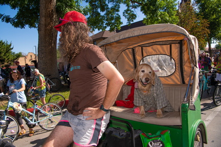 207558f4-4e77-427b-8e45-957e69d23c36-FTC08312019 Tour de Fat dogs 06