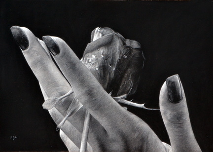 Drawing Workshop
