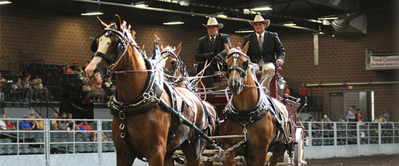 Iowa Horse Fair.v1