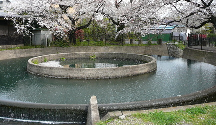 entou bunsui (2)