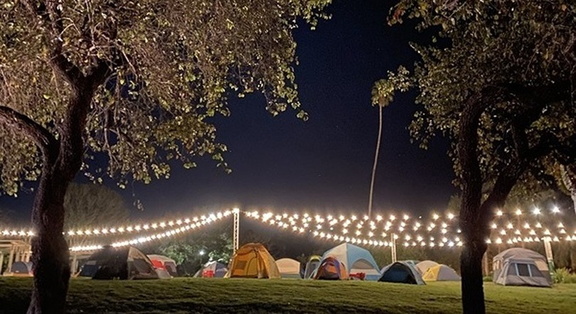 Family Safari Sleepover
