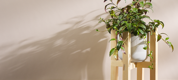 WS-Make Plant Stand-WebAssets-2000x900