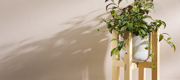 WS-Make Plant Stand-WebAssets-2000x900