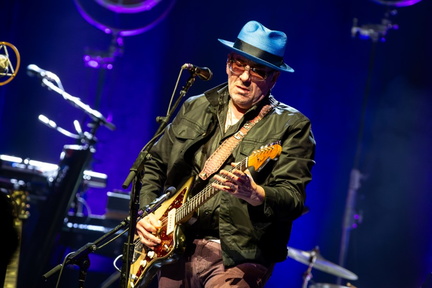 Elvis Costello