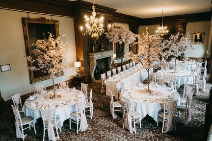 Wedding Showcase