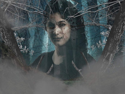 north-texas-performing-arts-repertory-theatre-presents-into-the-woods