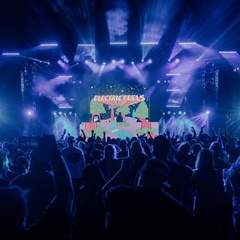 Electric Feels Indie Rock &amp; Dance Party
