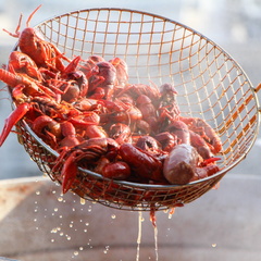 Boozy Crawfish Festival