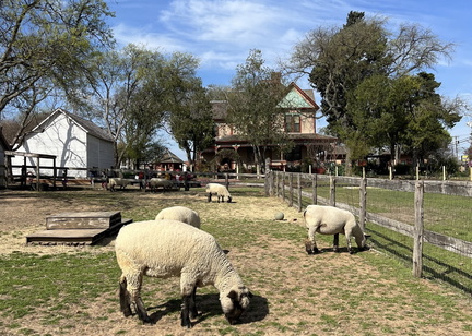 Springtime on the Farm