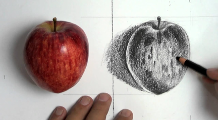 Desenho de observação – patrimônio, natureza morta, movimento, botânica