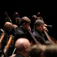Bach Mozart