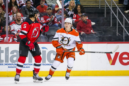 Anaheim Ducks