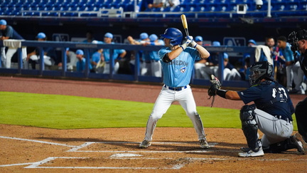 Dunedin Blue Jays