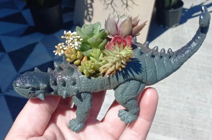Succulent Dinosaur Planters