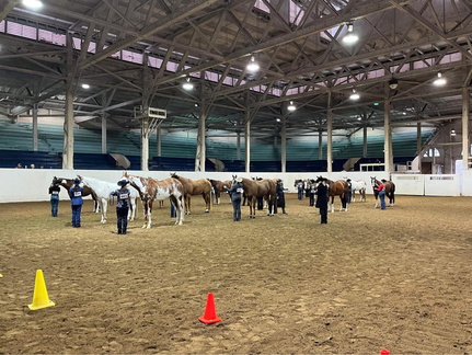 2025 Spring Fling Alpha &amp; All-Breed Show