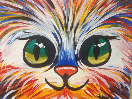 colorful-kitty-tv