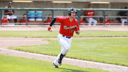 Billings Mustangs