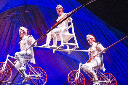 India Shrine Circus 2025