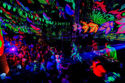 TRiBE of FRoG Frogz in Space