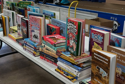 Grown-Up Book Fair