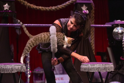 202108+-+Acrocats+-+Portland+Maine+-+Full+Res+-+KatieDayPhoto-102-Miki