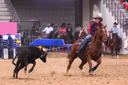 Ariat WSTR Super Qualifier